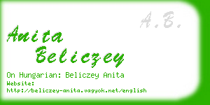 anita beliczey business card